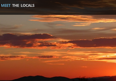  Php, Css , Html , Javascript , JQuery